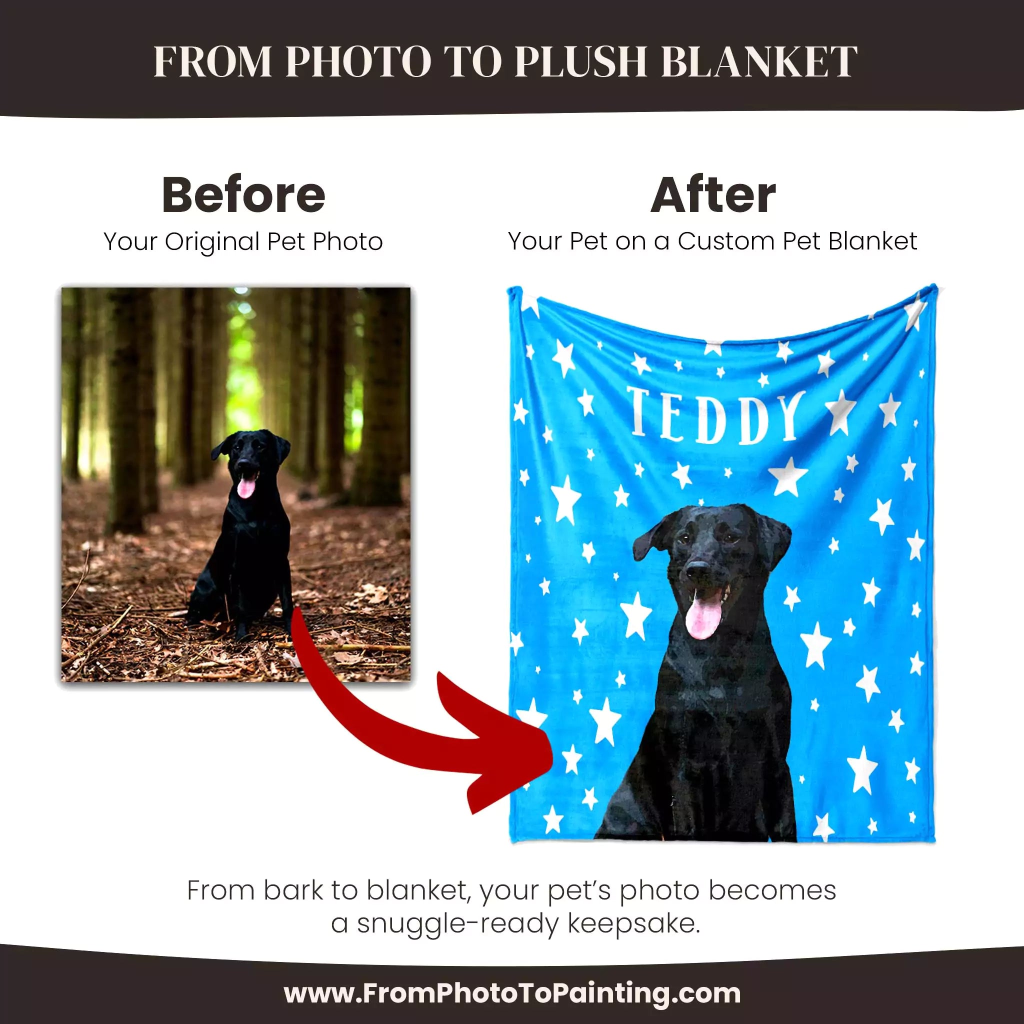 Before and after comparison of a black dog on a blue dog blanket with 'TEDDY' printed on it, featuring the website www.FromPhotoToPainting.