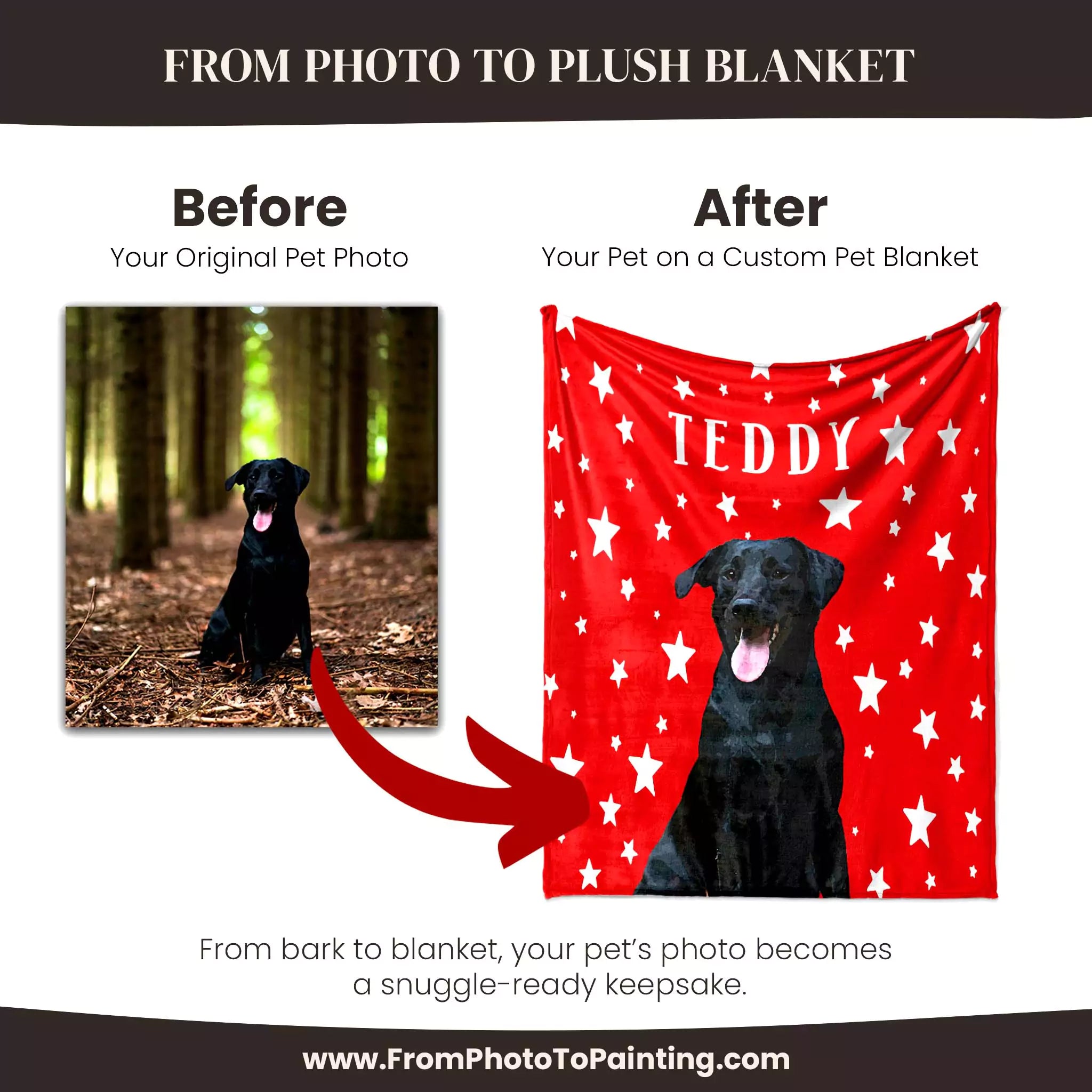 Before and after comparison of a black dog on a red pet blanket with 'TEDDY' printed on it, featuring the website www.FromPhotoToPainting.com