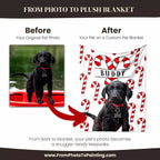 Before and after comparison of a Black Retriever dog photo on a custom pet blanket with candy cane design.