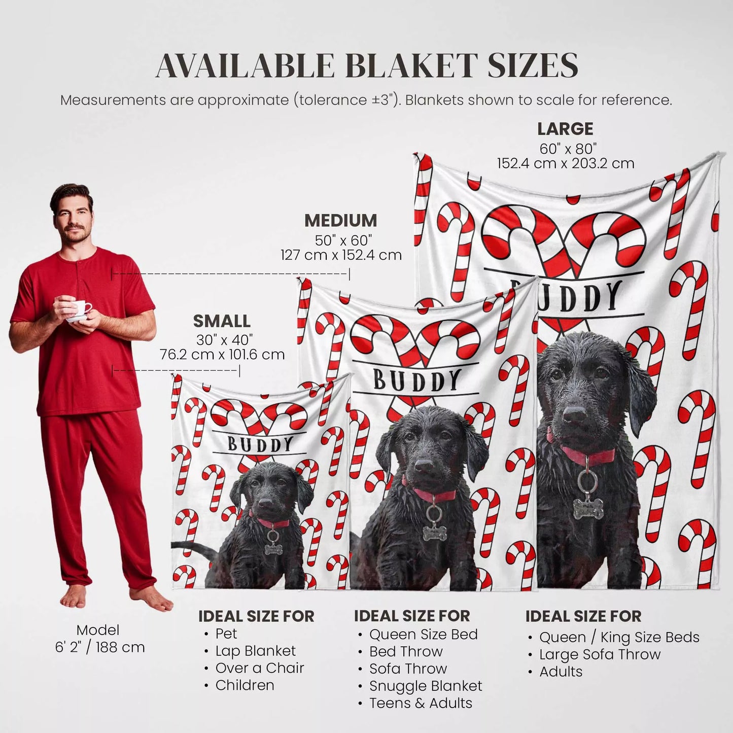 Christmas Custom Made Portrait Dog Blanket with Black Retriever - FromPhotoToPainting