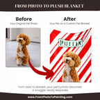 Before and after comparison of a Poodle dog photo on a custom pet blanket with 'Muffin' branding.