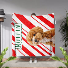 Christmas Dog Blanket Custom Made for Poodle - FromPhotoToPainting