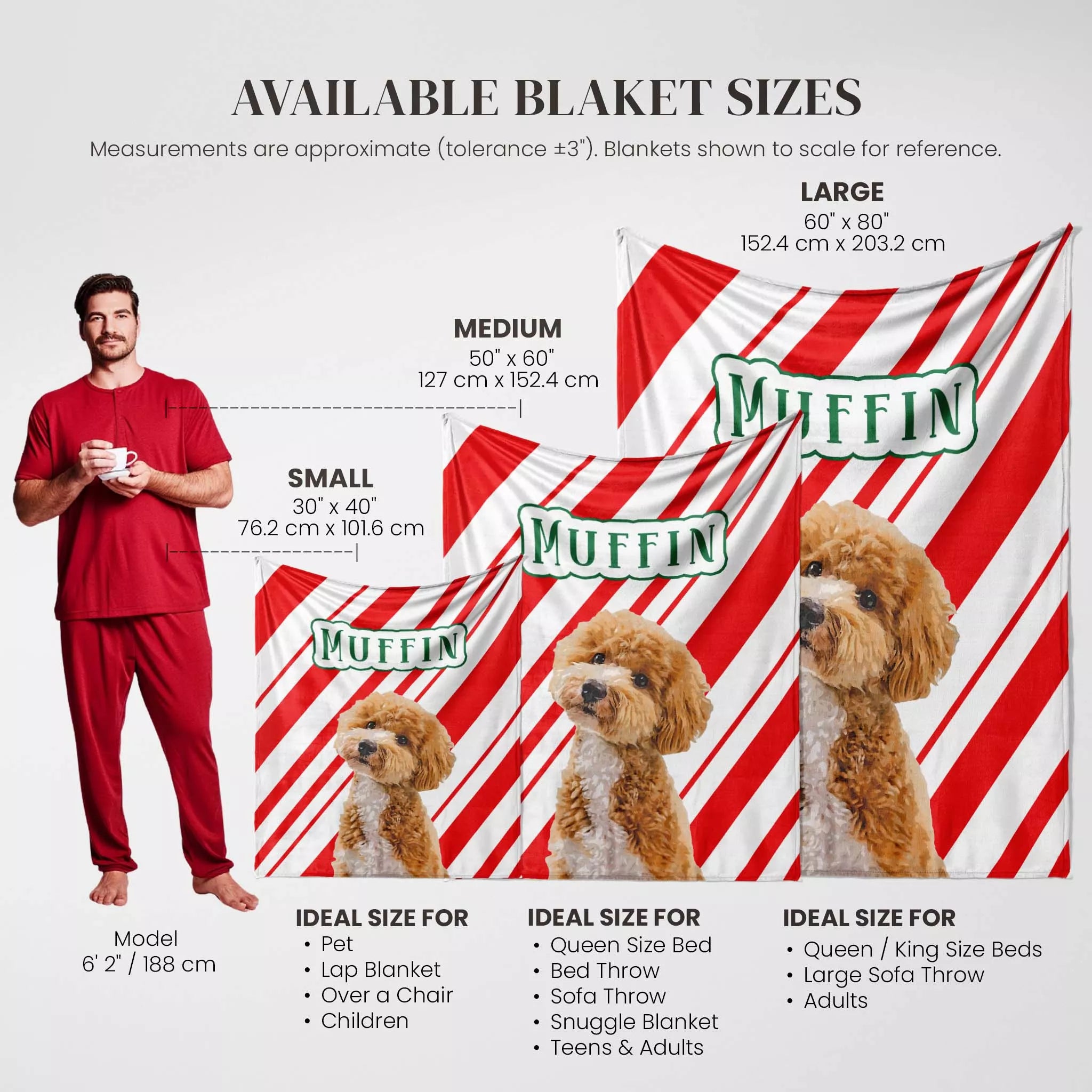 Poodle dog blanket with size chart and product usage examples