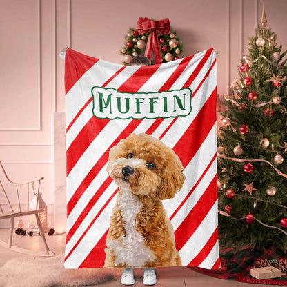 Christmas Dog Blanket Custom Made for Poodle - FromPhotoToPainting