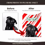 Before and after comparison of a Pug dog photo on a custom pet blanket with 'Archie' branding.