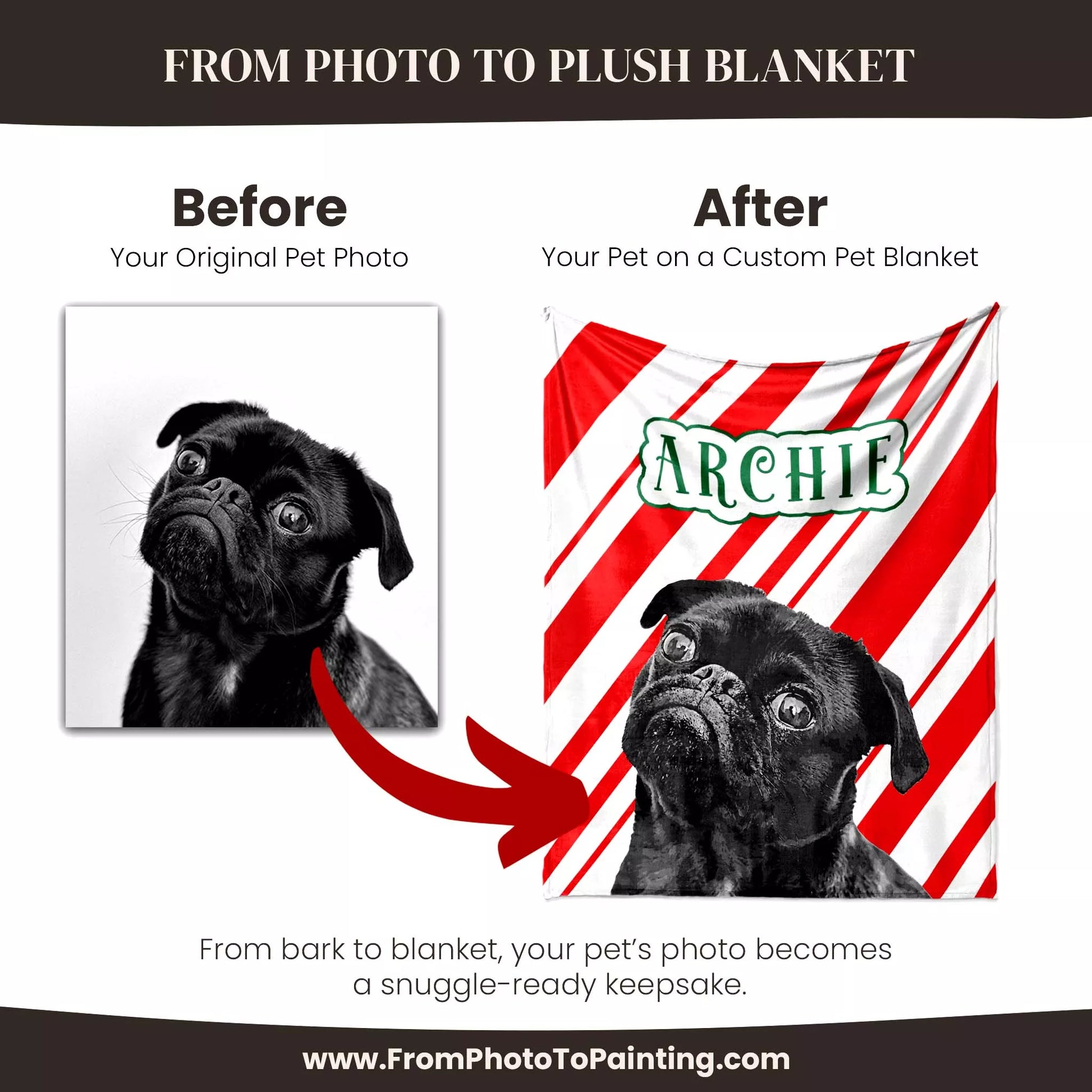 Christmas Dog Blanket Custom Made for Pug Dog - FromPhotoToPainting