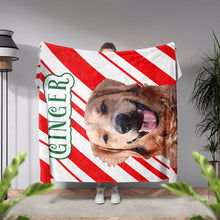 Christmas Dog Blanket for Couch with Golden Retriever - FromPhotoToPainting