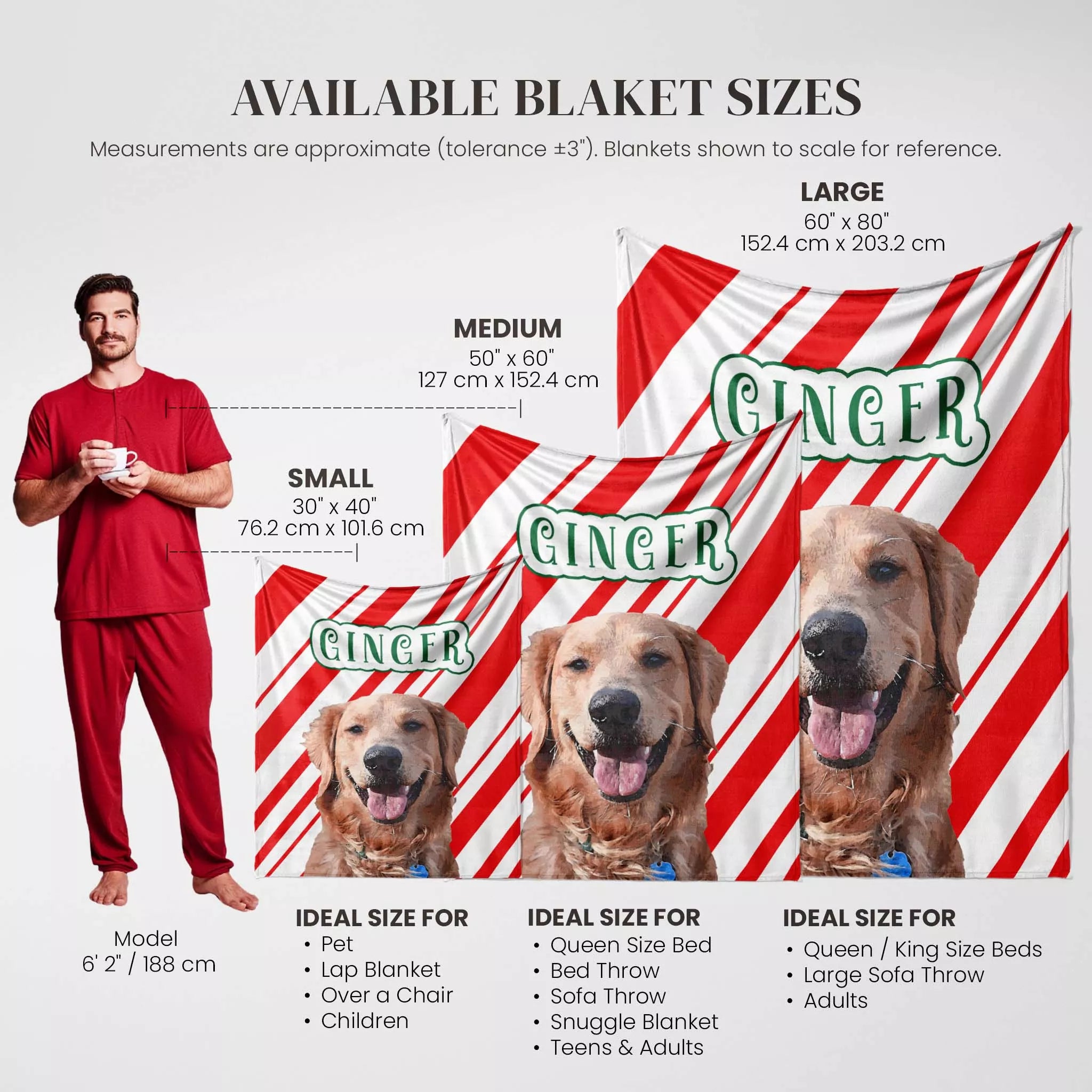 Golden Retriever dog blanket sizes with a man and dogs for scale on a white background