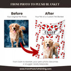 Before and after comparison of a Golden Retriever dog photo on a custom blanket with candy cane design and 'Grace' text.