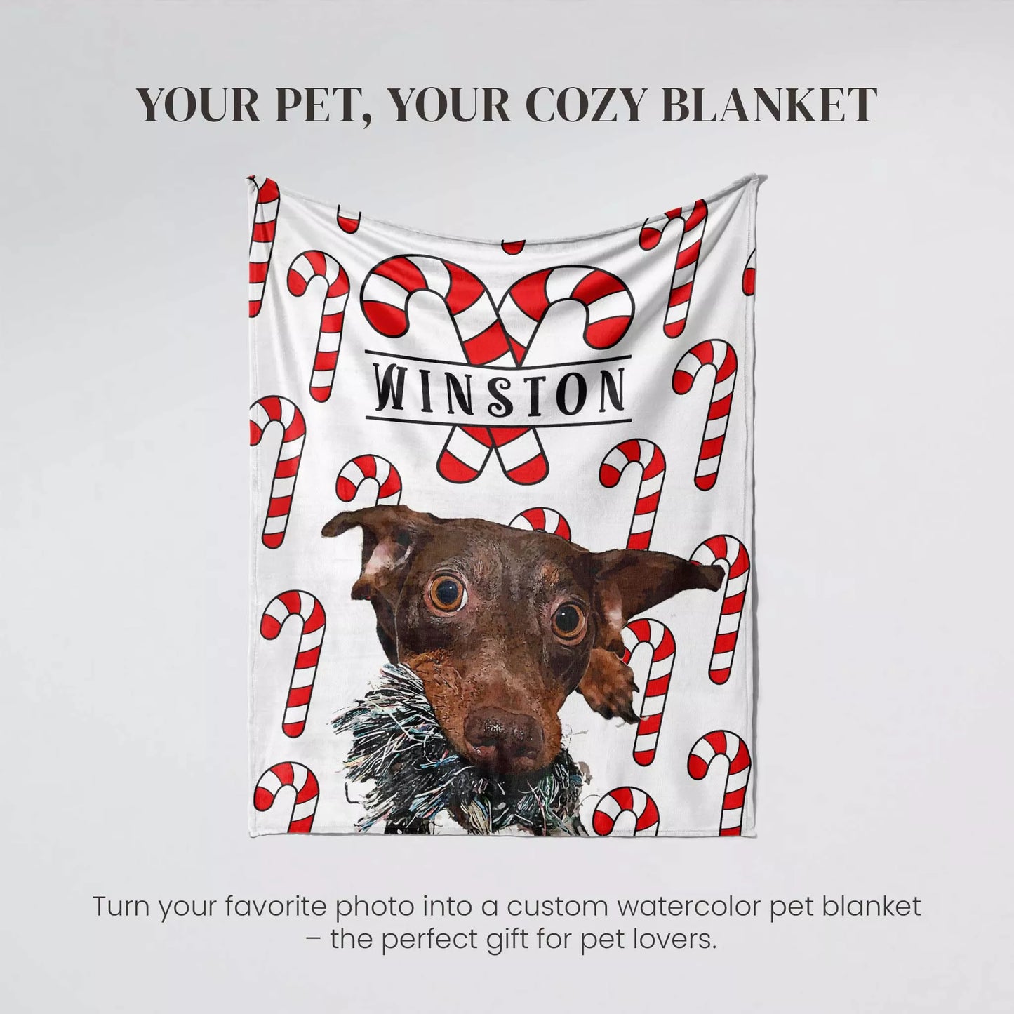 Christmas Patterned Custom Made Portrait Dog Blanket for Wiener Dog - FromPhotoToPainting