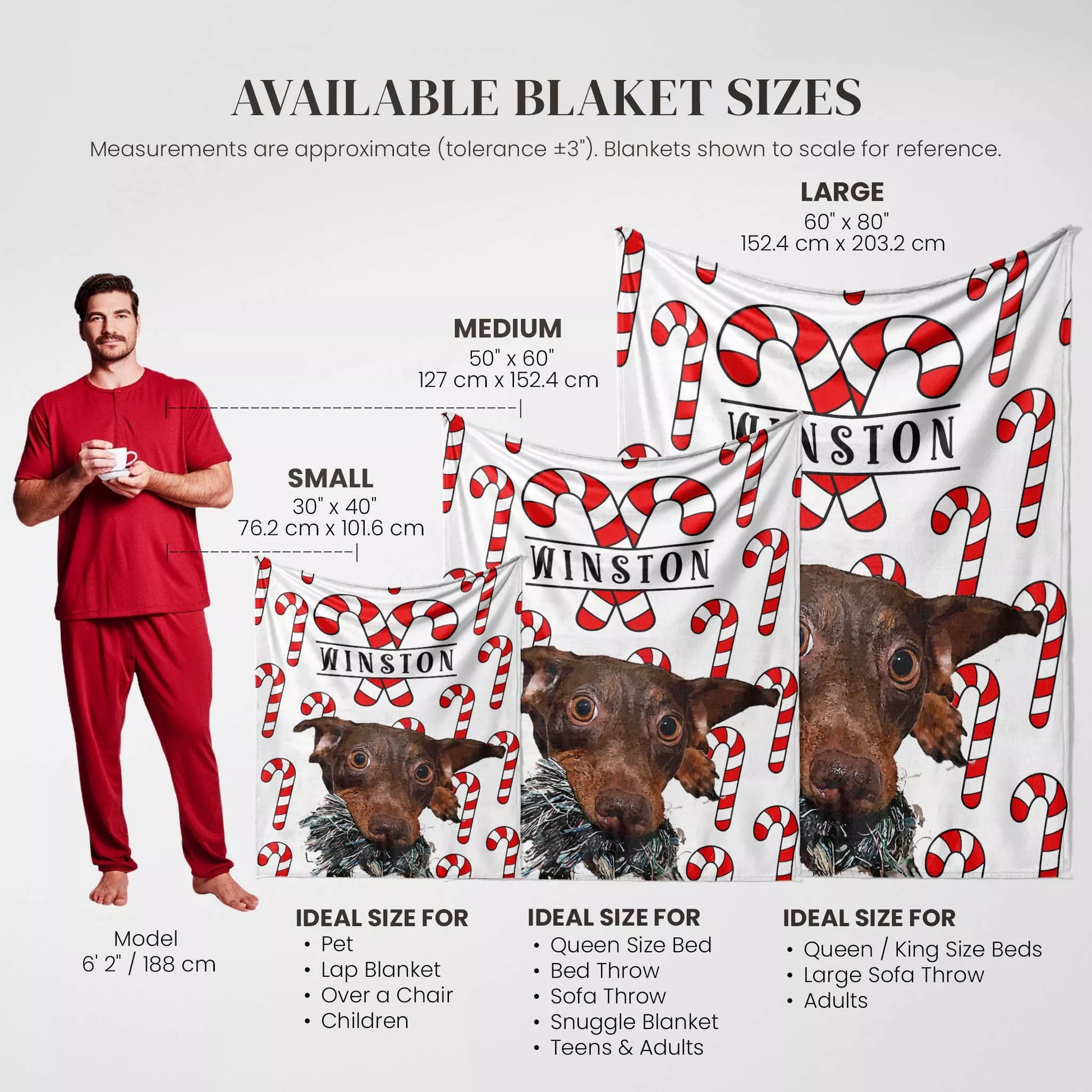 Christmas Patterned Custom Made Portrait Dog Blanket for Wiener Dog - FromPhotoToPainting