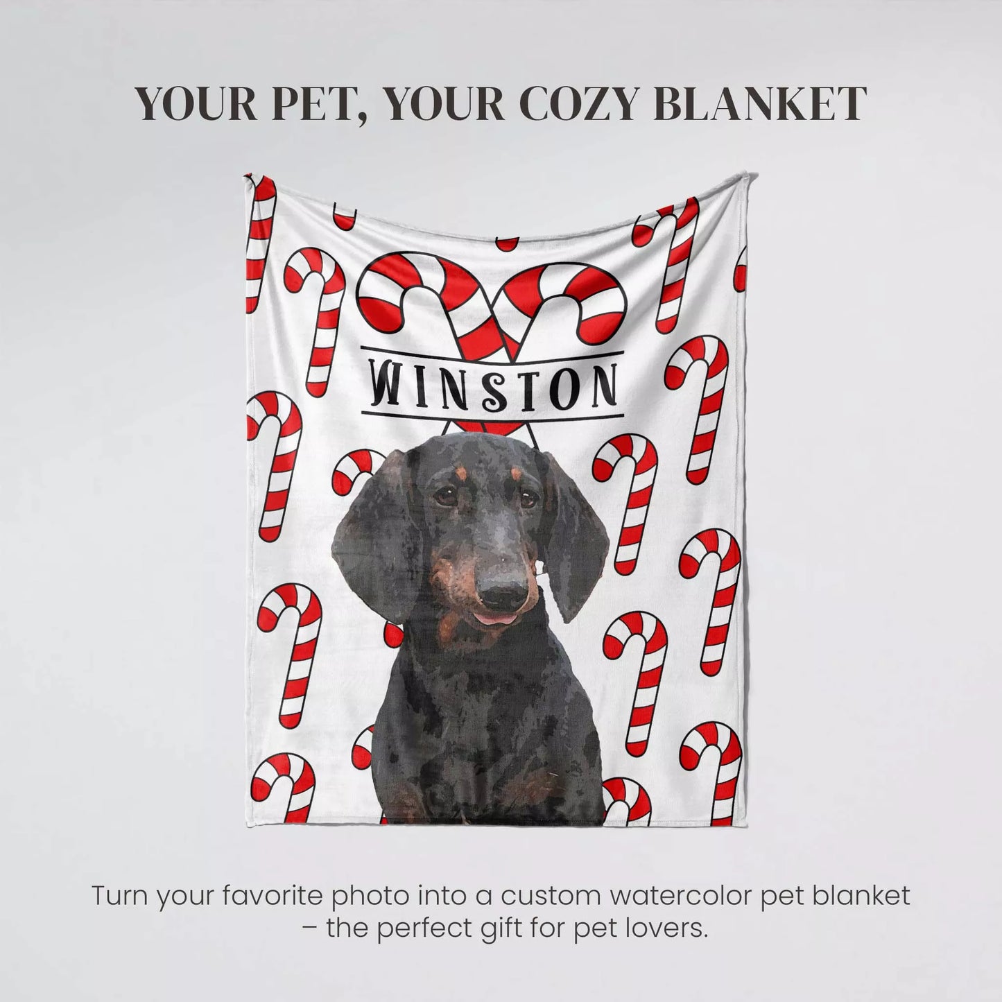 Christmas Personalized Dog Blanket for Wiener Dog - FromPhotoToPainting