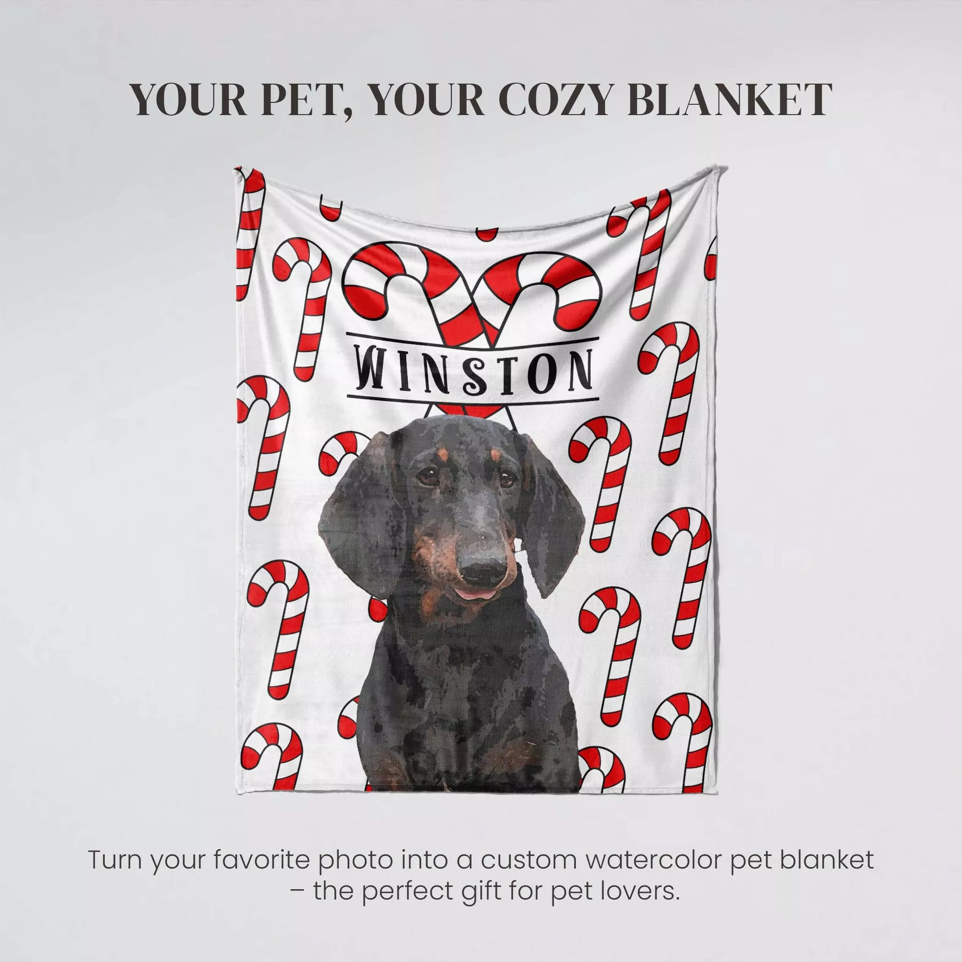 Christmas Personalized Dog Blanket for Wiener Dog - FromPhotoToPainting