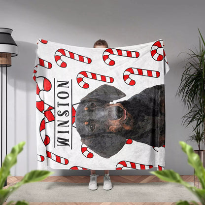 Christmas Personalized Dog Blanket for Wiener Dog - FromPhotoToPainting