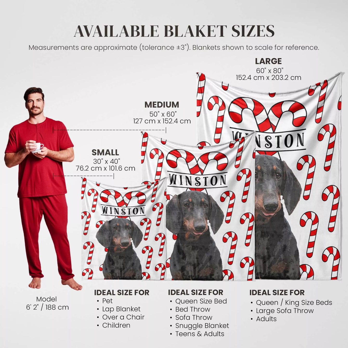 Christmas Personalized Dog Blanket for Wiener Dog - FromPhotoToPainting