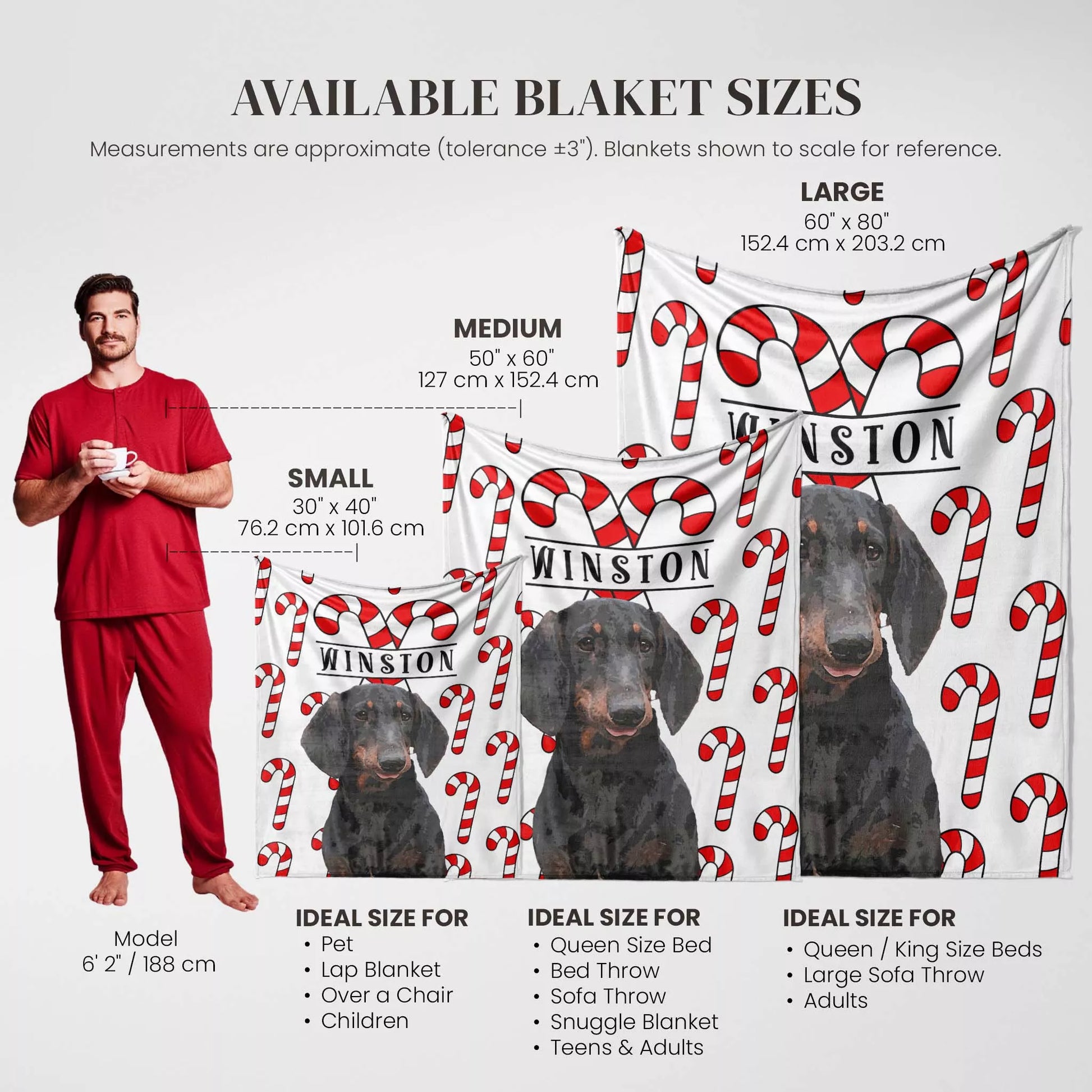 Christmas Personalized Dog Blanket for Wiener Dog - FromPhotoToPainting