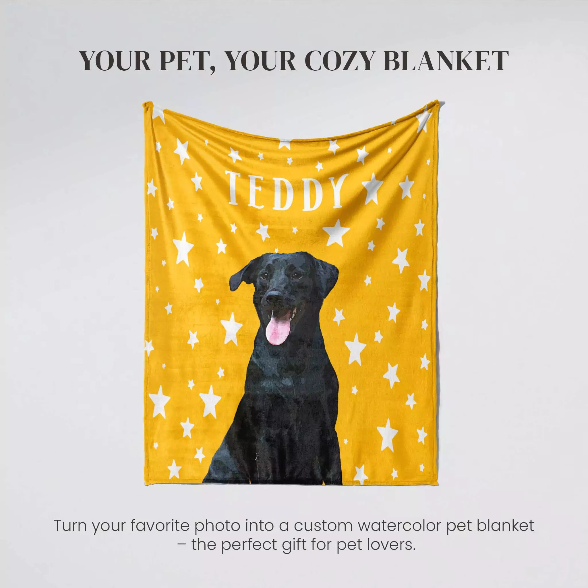Yellow pet blanket with star pattern and a black Labrador dog, branded 'TEDDY', on a light gray background.