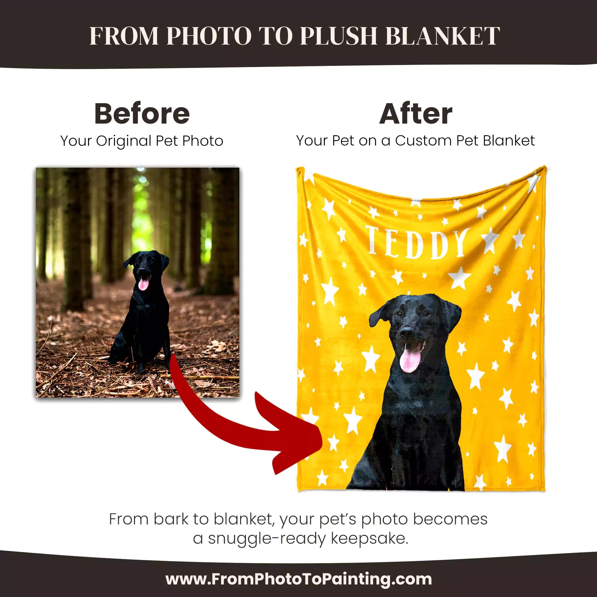 Before and after comparison of a black Labrador dog photo on a yellow dog blanket with 'TEDDY' printed on it.