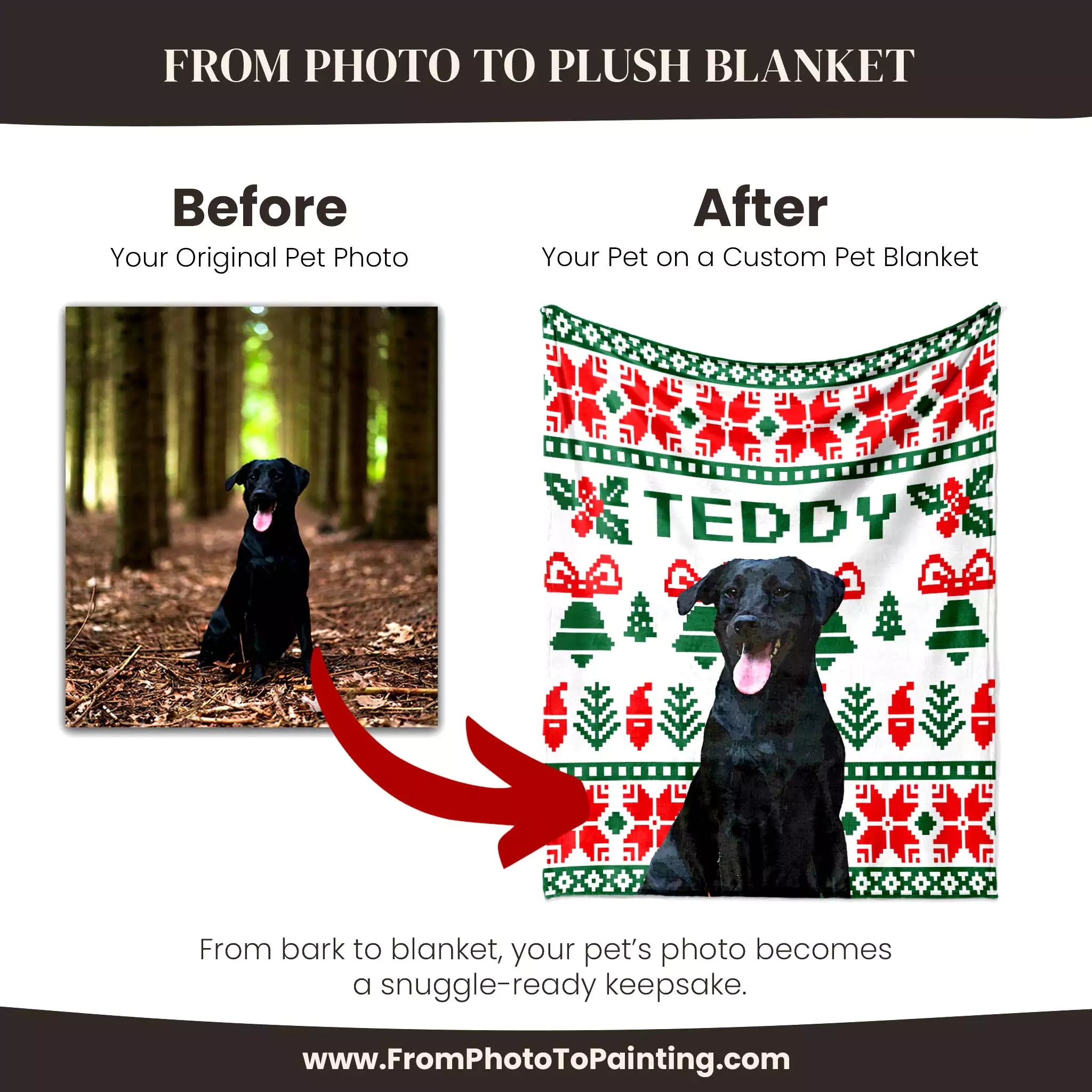 Before and after comparison of a black dog photo on a custom dog blanket with 'Teddy' printed on it.