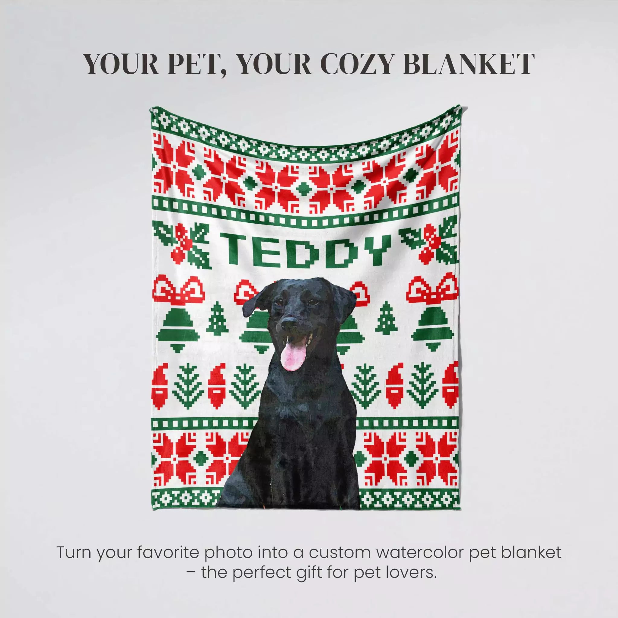 Dog standing behind a Christmas-themed blanket with 'TEDDY' printed on it.