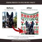 Before and after comparison of a German Shepherd with a custom dog blanket featuring the name 'Titan'.