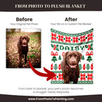 Before and after comparison of a dog photo on a custom dog blanket with 'Daisy' printed on it.