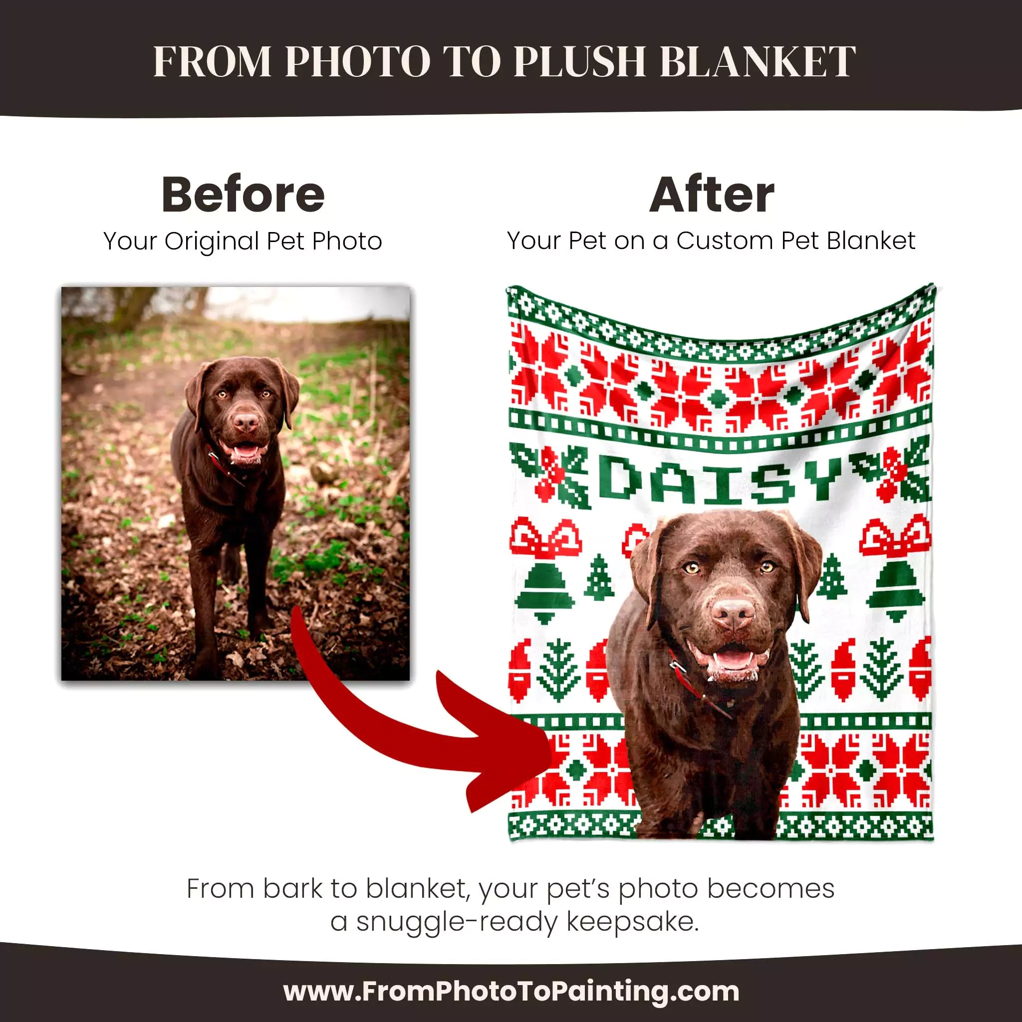 Before and after comparison of a dog photo on a custom dog blanket with 'Daisy' printed on it.