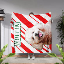Custom Christmas Dog Blanket for Poodle - FromPhotoToPainting