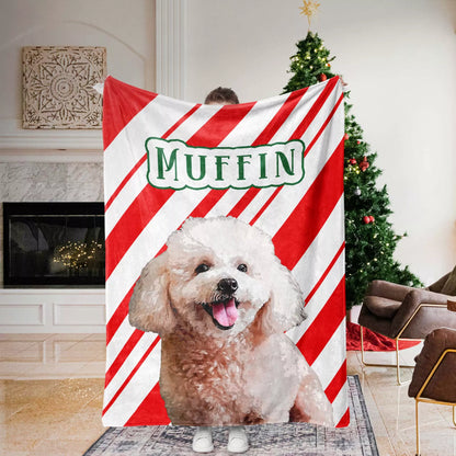 Custom Christmas Dog Blanket for Poodle - FromPhotoToPainting