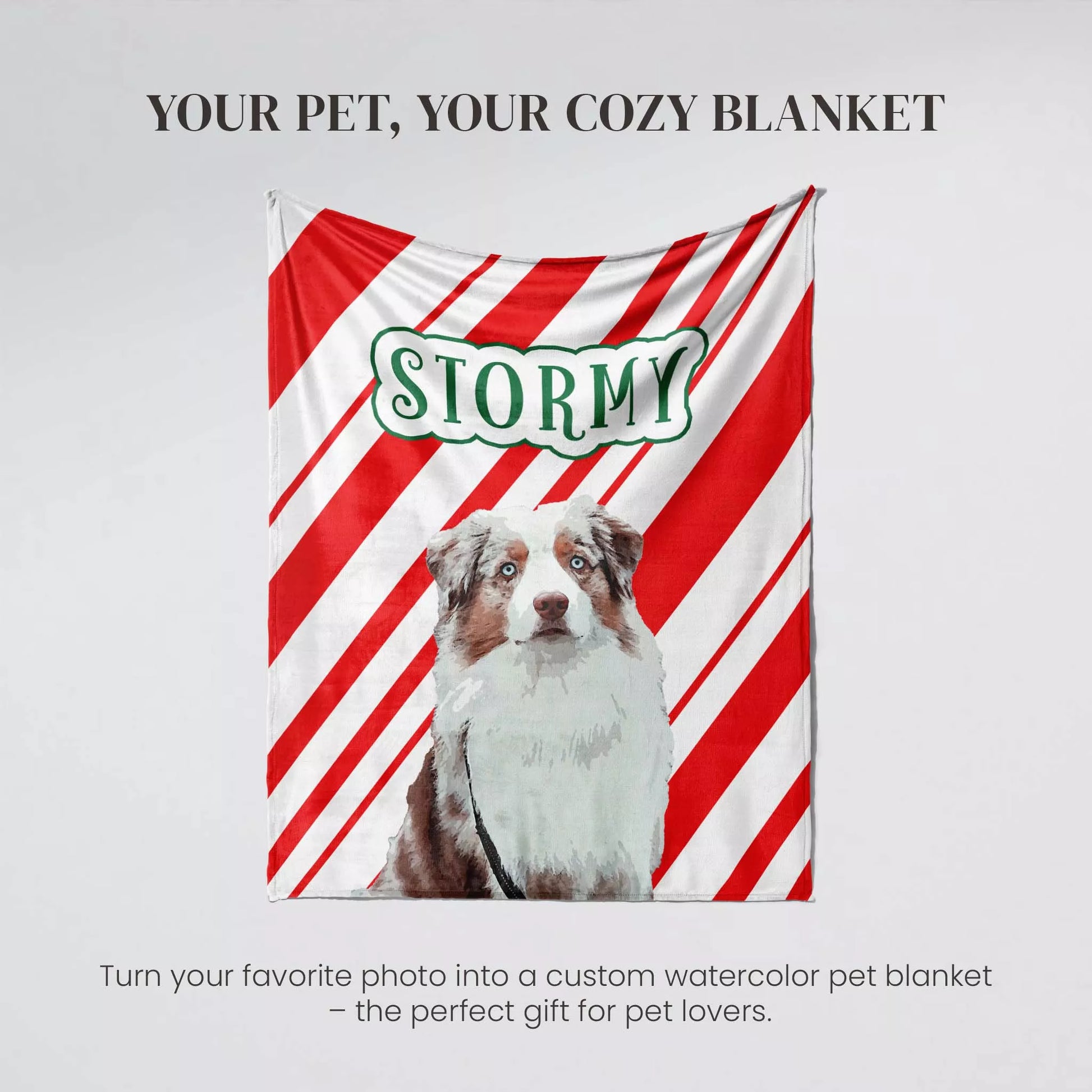 Custom Made Christmas Dog Blanket for Australian Shepherd - FromPhotoToPainting