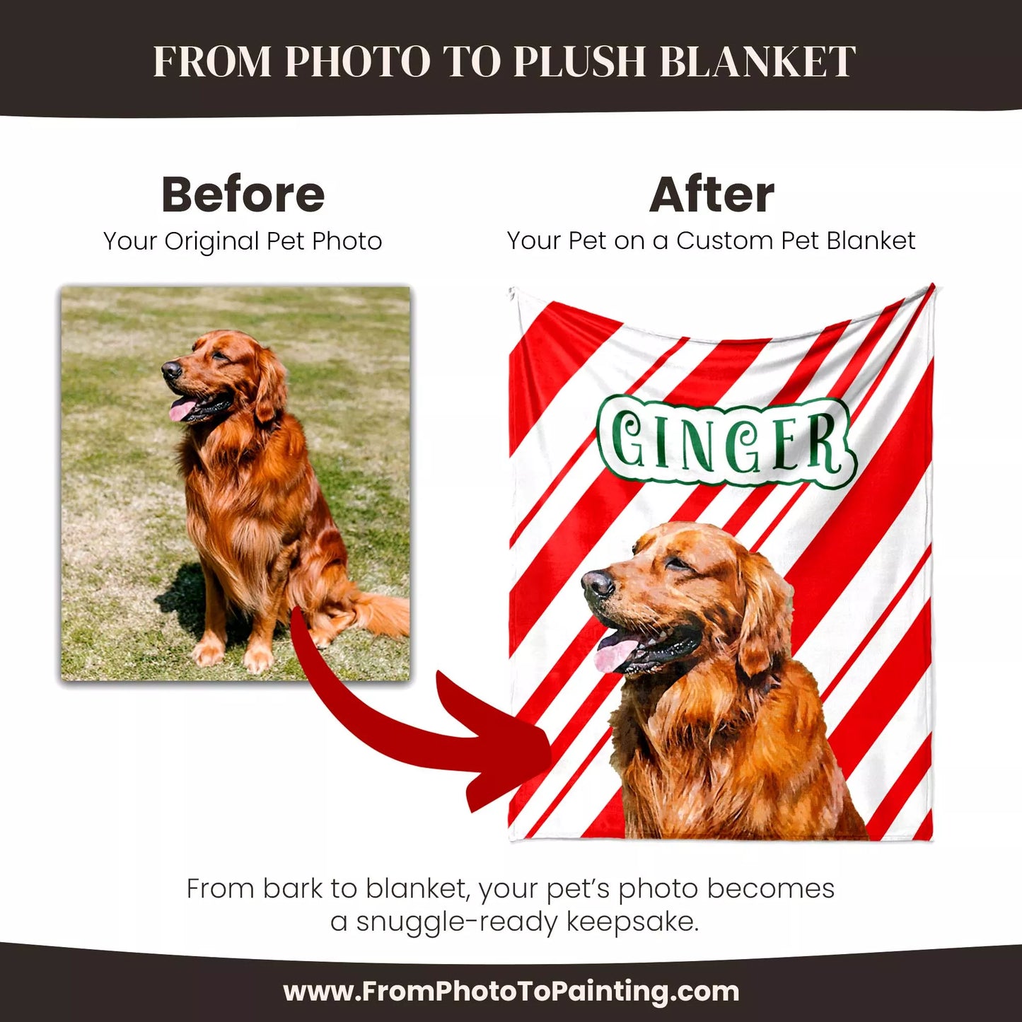 Custom Made Christmas Dog Blanket for Golden Retriever - FromPhotoToPainting