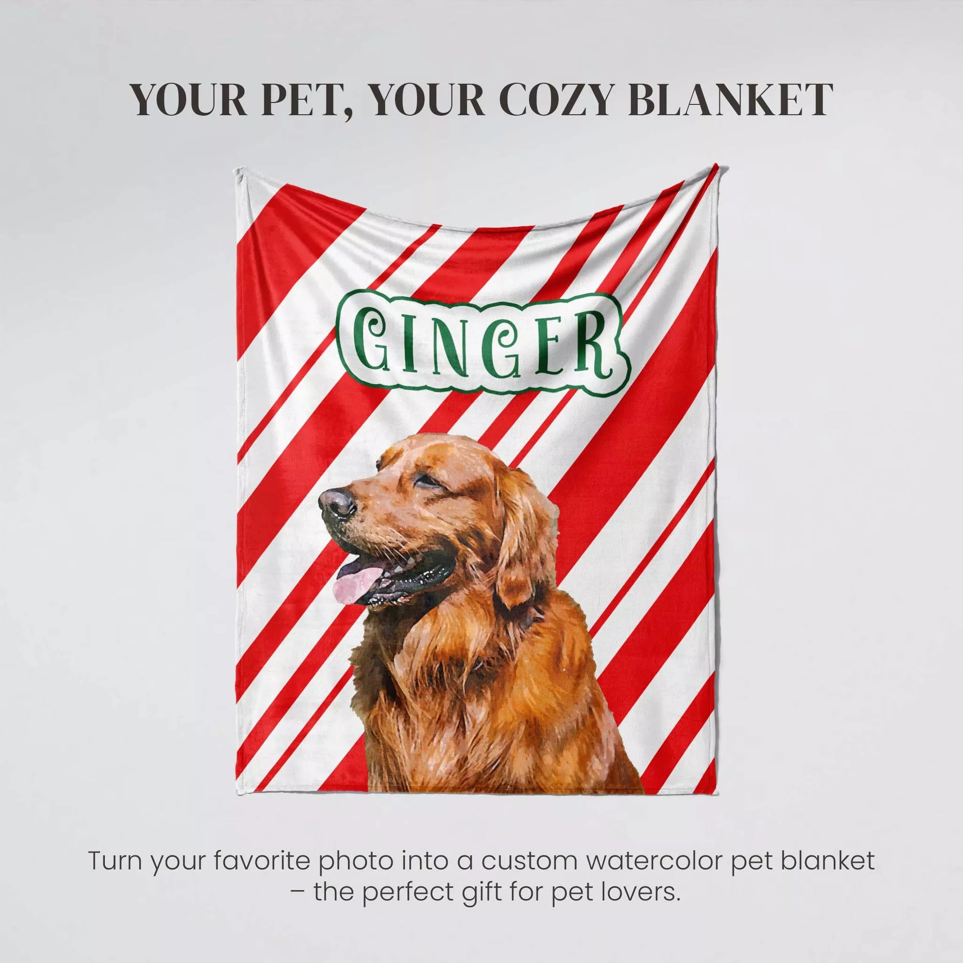 Custom Made Christmas Dog Blanket for Golden Retriever - FromPhotoToPainting