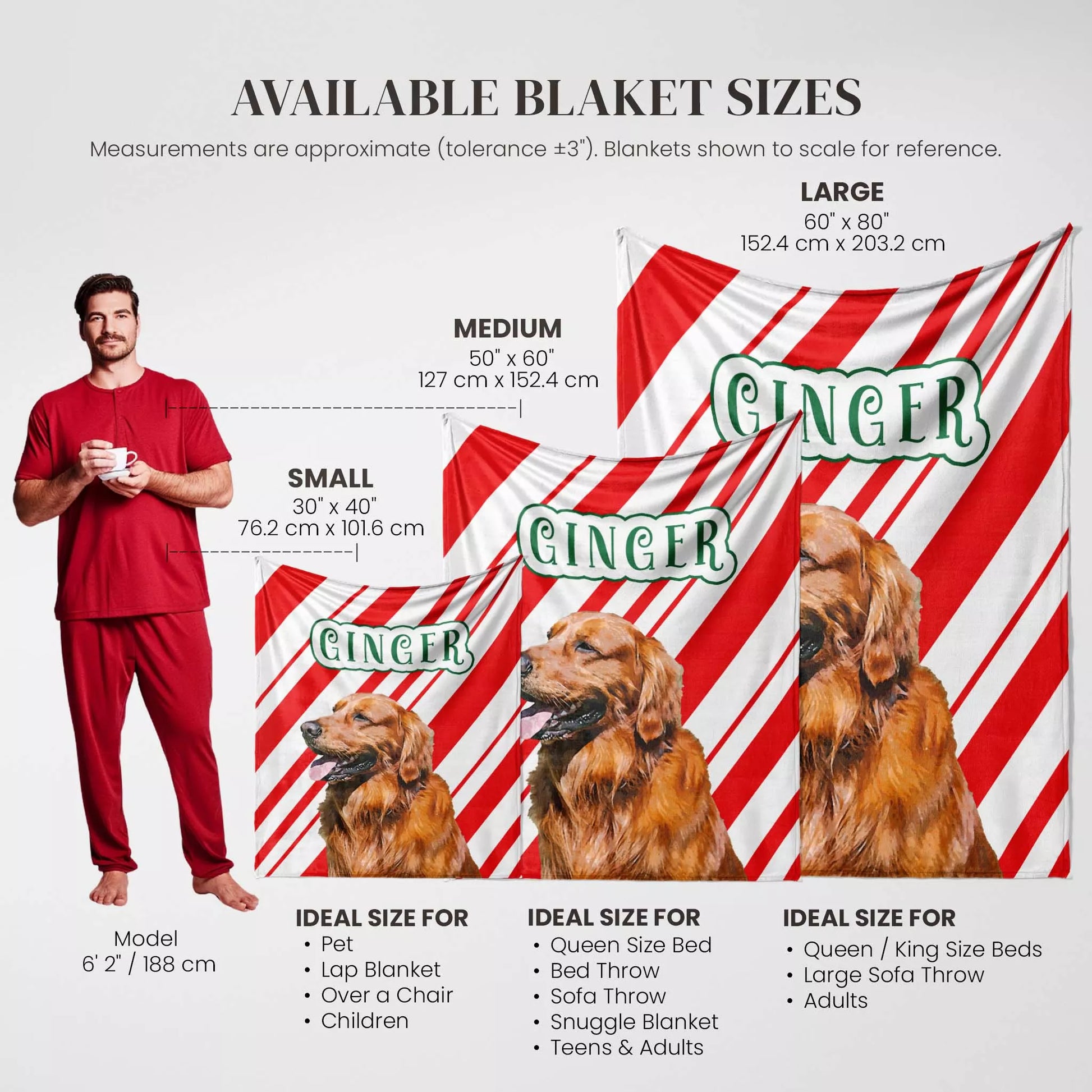 Custom Made Christmas Dog Blanket for Golden Retriever - FromPhotoToPainting