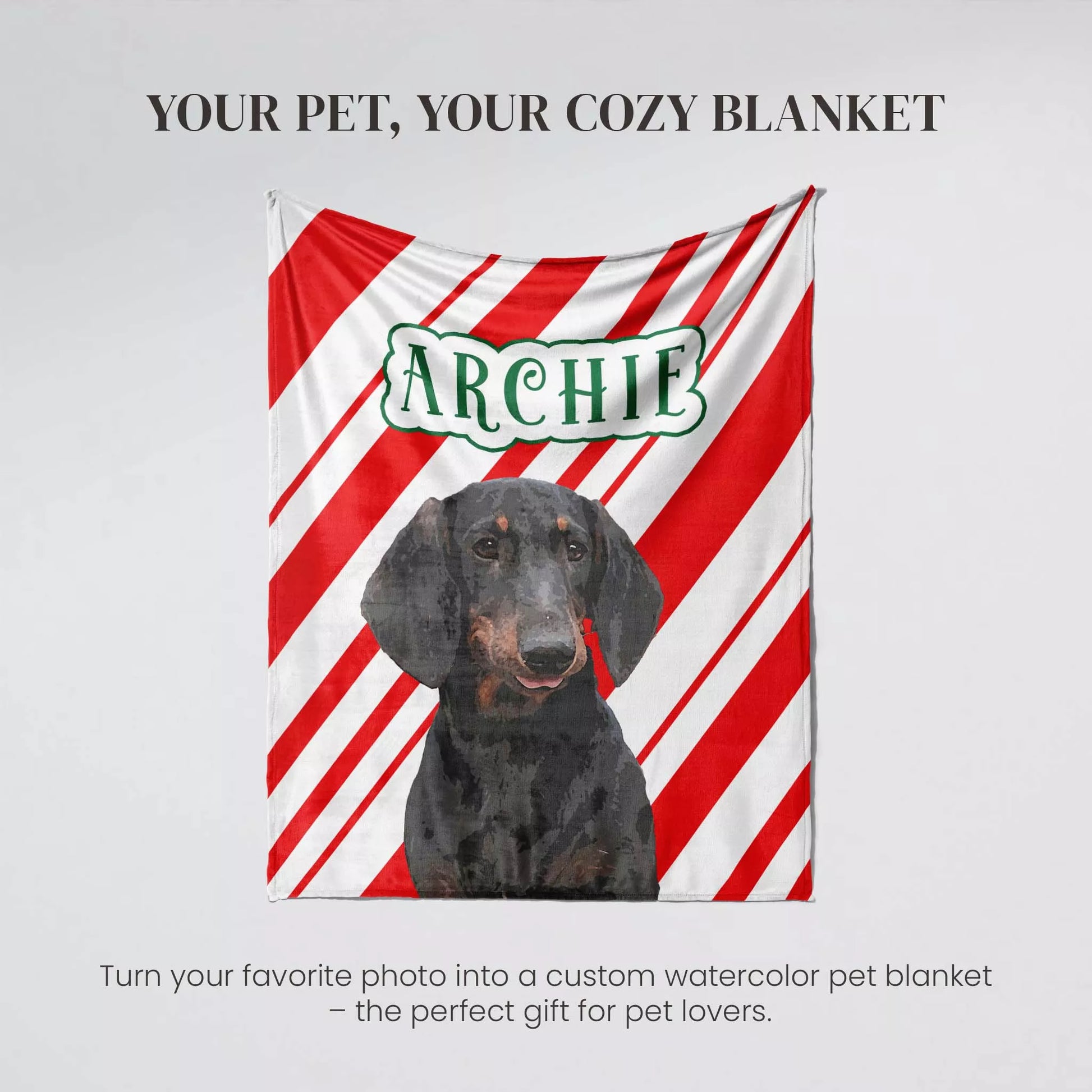 Personalized Christmas Dog Blanket Wiener Dog - FromPhotoToPainting