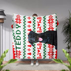 Person holding an ugly sweater blanket with a dog design and 'TEDDY' text in a room with plants and a lamp.