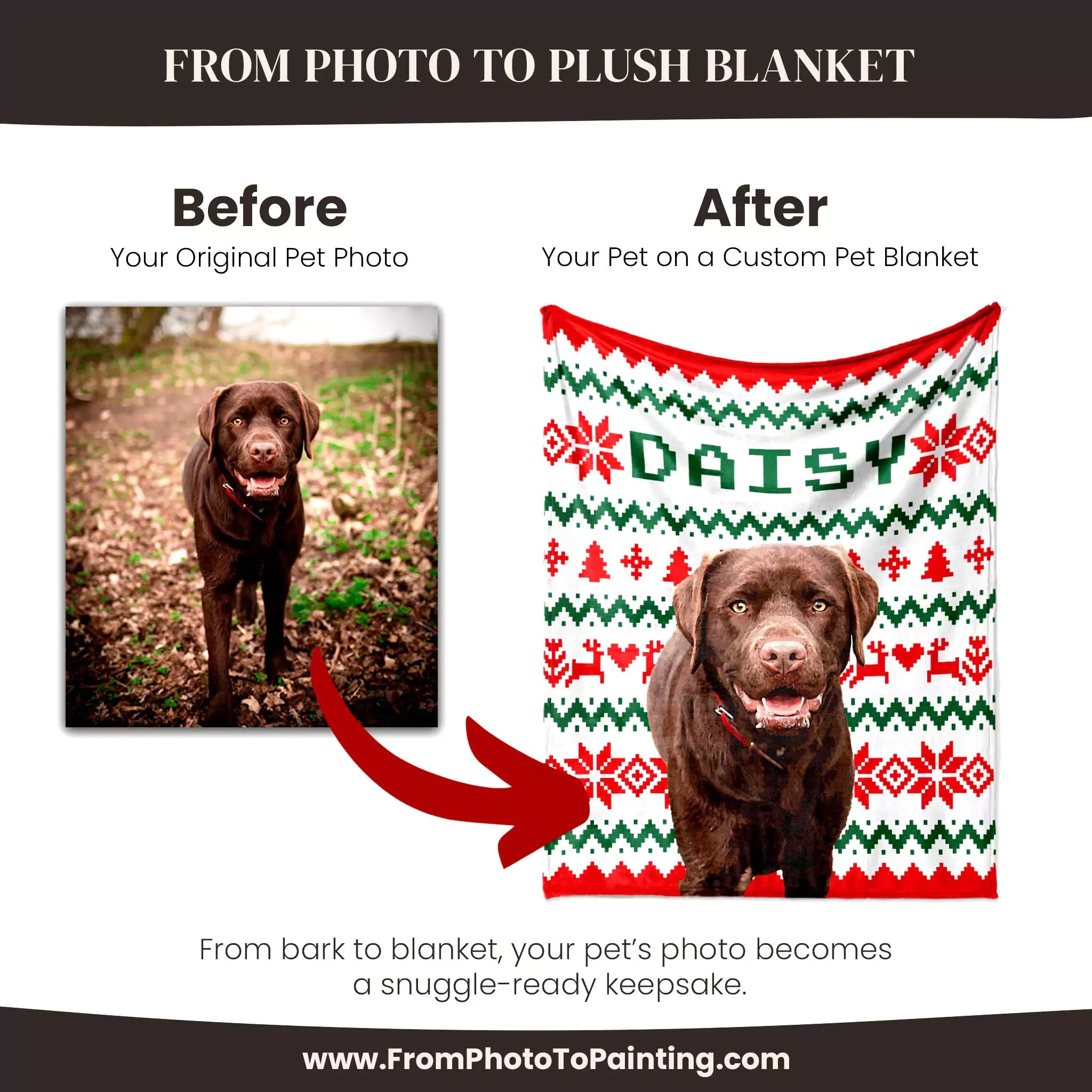 Before and after comparison of a dog photo on a custom dog blanket with 'DAISY' printed on it.