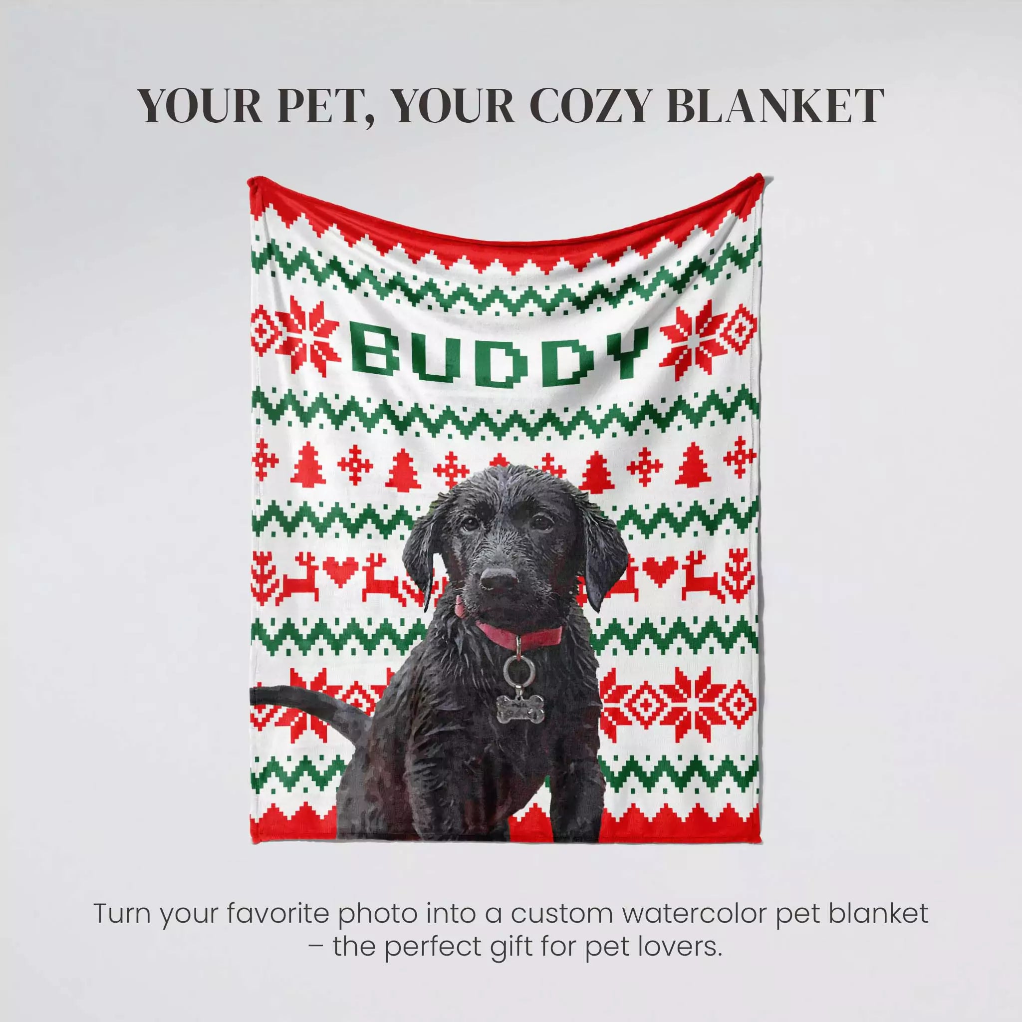 Black Retriever Dog sitting on an ugly sweater red, green, and white patterned blanket with 'Buddy' written on it.